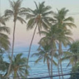 Meet your Posher, Francesca